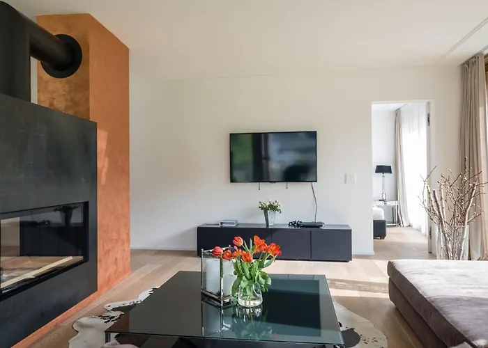 Edelweiss Mountain 04-01 Flims