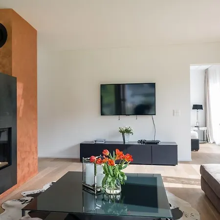 Edelweiss Mountain 04-01 Флимс